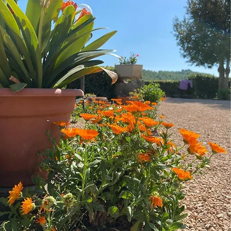 Apartment Podere San Giusto *