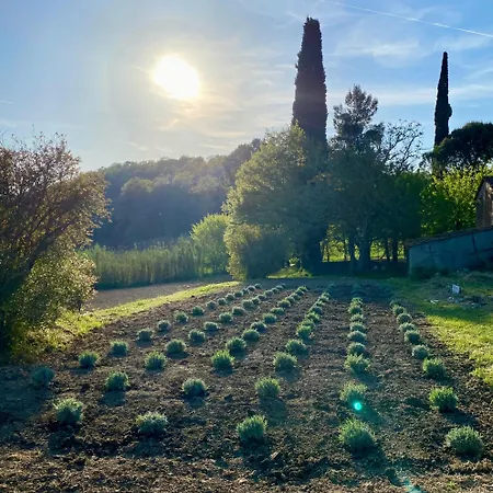 Podere San Giusto * Volterra