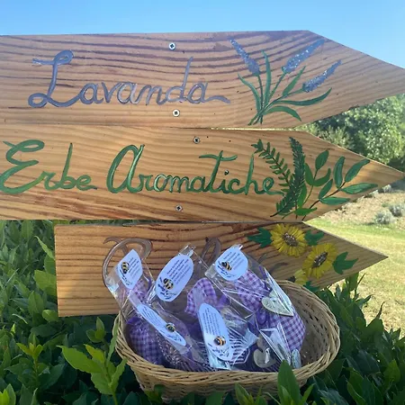 Apartment Podere San Giusto *