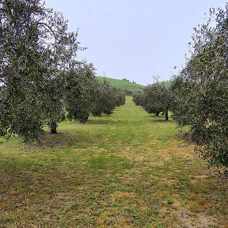 Podere San Giusto *